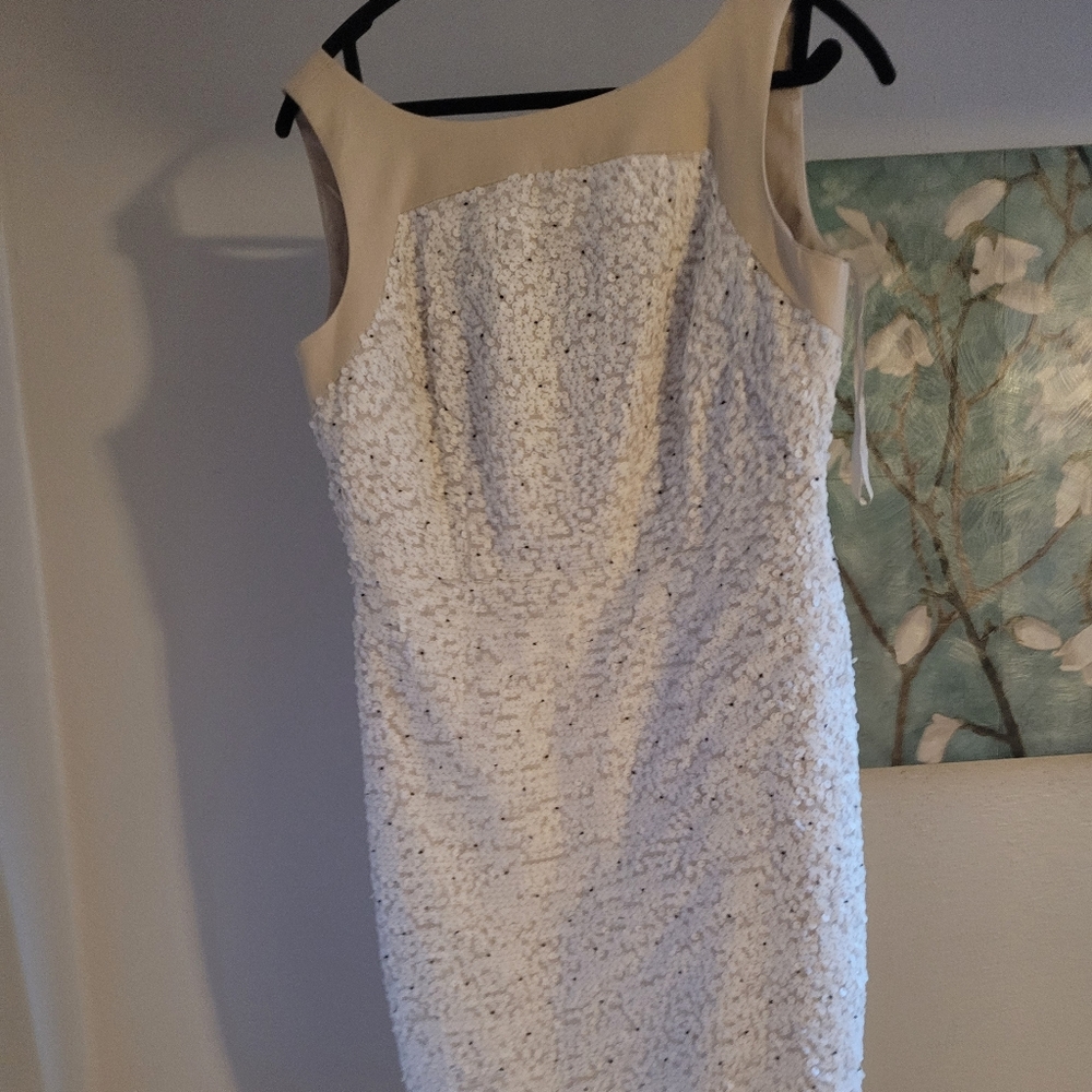 Ann Taylor size 8 beautiful dress